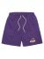 #FR2 Fxxking Rabbits x XLarge Easy Short Pants - Purple