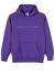Human With Attitude Embroidered Logo Hoody - Purple
